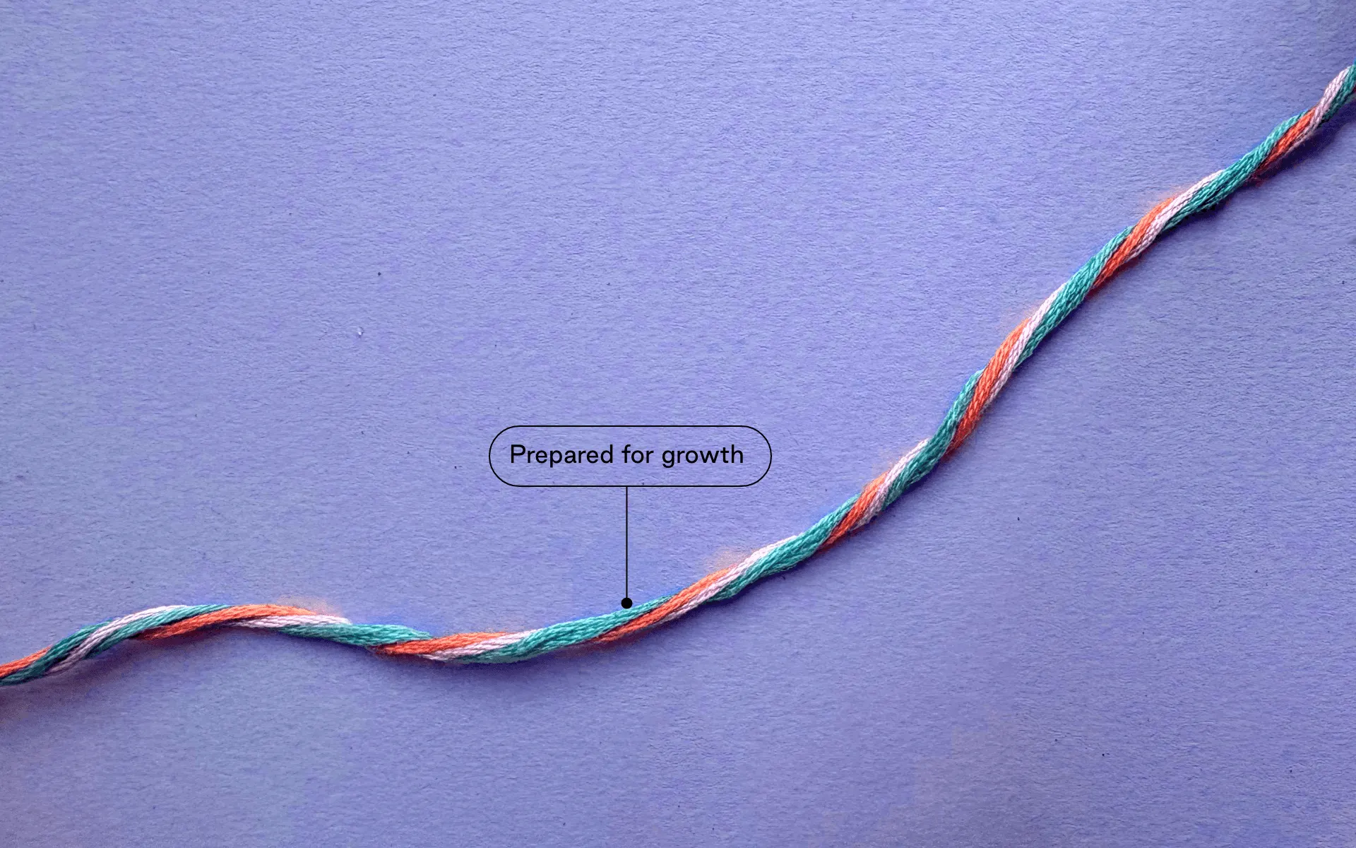 A tightly woven thread rising upwards, labelled “Prepared for growth”